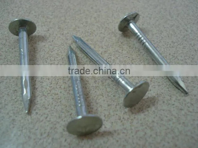 galvanized clout nails factory