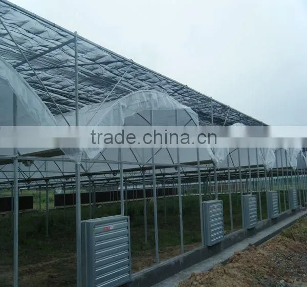 agricultural greenhouses for tomato
