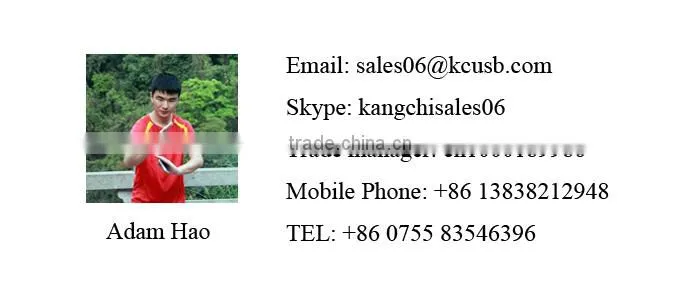 2014 new item 32gb usb key