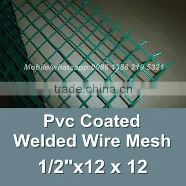 china facotry green color epoxy coated wire mesh