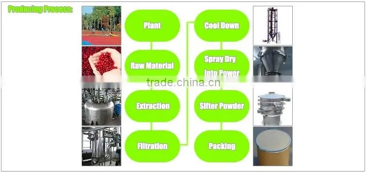 Factory Supply Cranberry Powder For Human Health