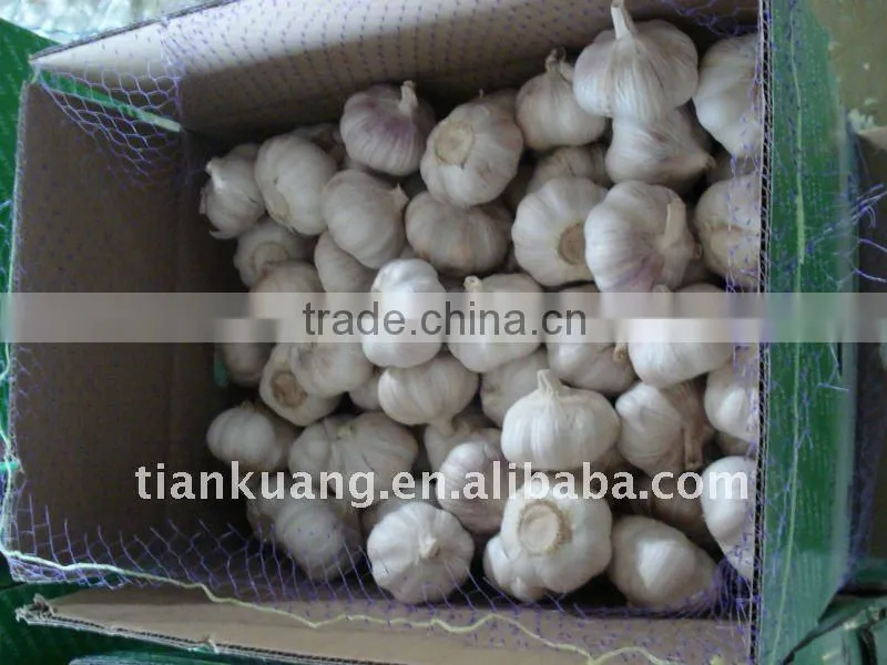 china cheap garlic