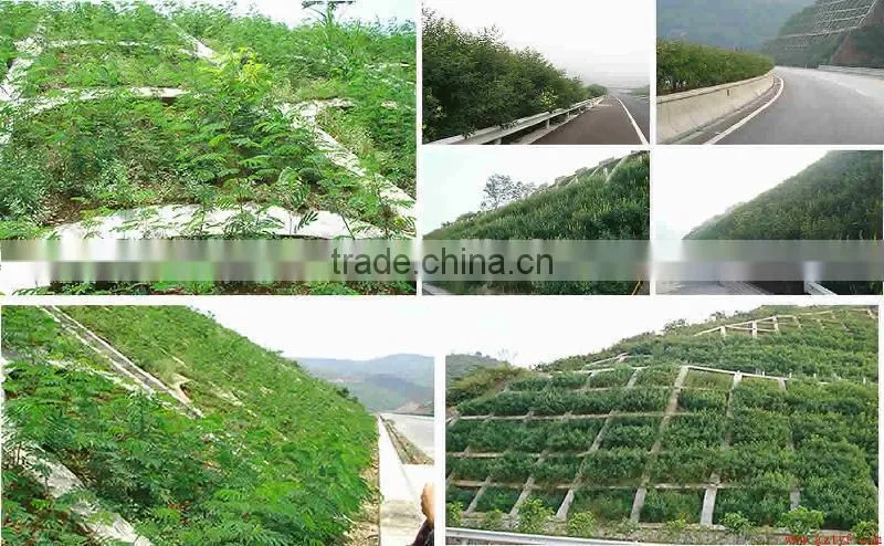 2015 new condition Hydroseeding Machines price