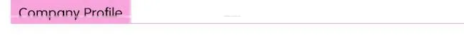 Adhesive hook loop, self adhesive tape hook and loop, double sided hook loop for windows