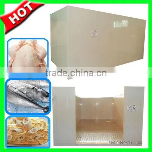 blast freezer to freezer French fries in 2 hours