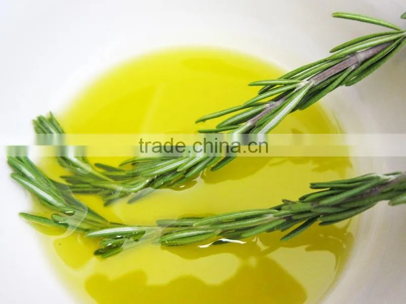 Pure Rosemary Oil From India | Natural Rosemary Oil For Export Only