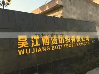 Wujiang Bozi Textile Co., Ltd. company overview - view 1