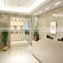 Watch Factory Custom Mechanical Watches Men Automatic Watch