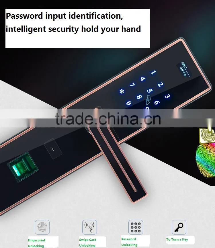 multiple function fingerprint lock