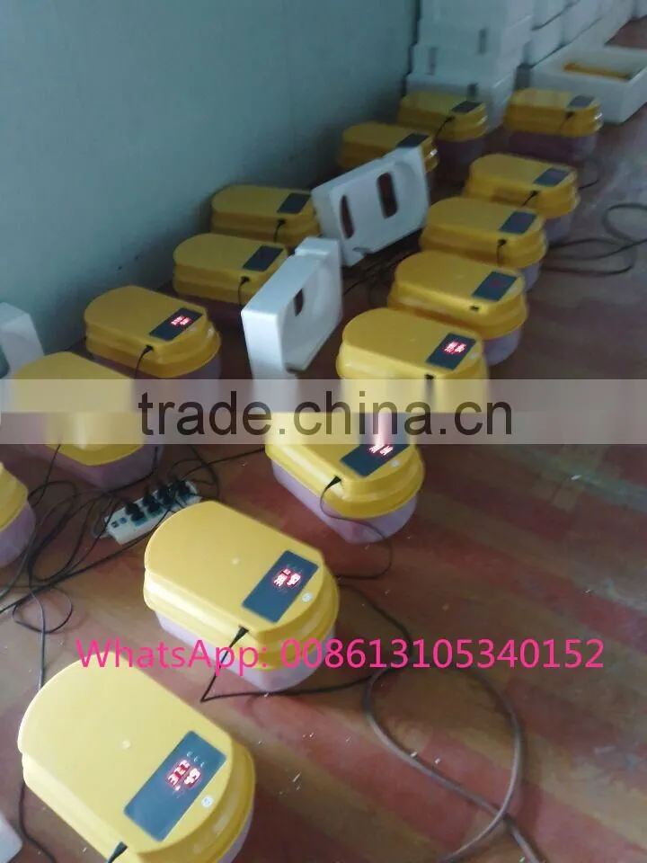 wholesale incubator machine price/egg incubator for sale in india/ dubai