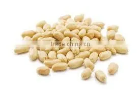 Peanut Exporters