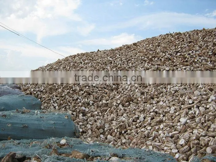 TAPIOCA CHIP/ CASSVA CHIP