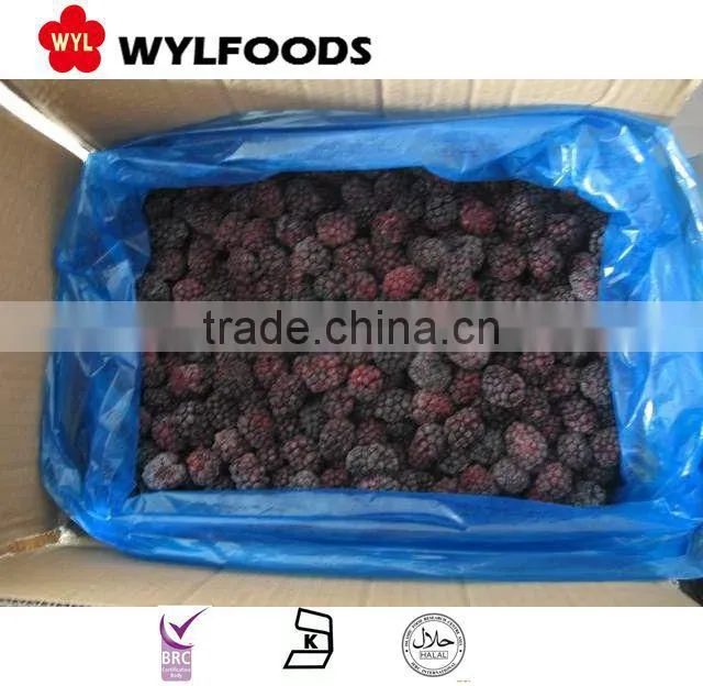 hot selling!!IQF blackberry from China new crop good quality
