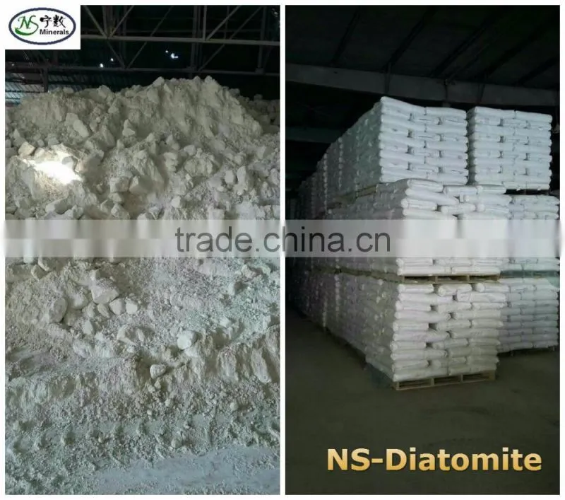 Factory Price Premium Food Grade Celatom Celite Diatomite / Diatomaceous Earth