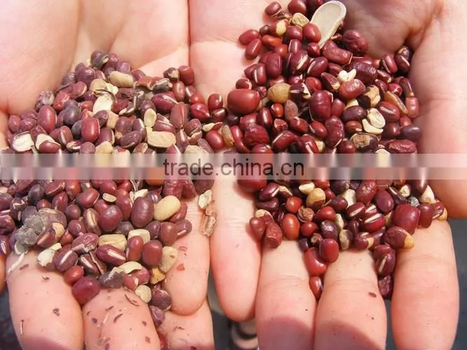 Beans Pulse Polisher / Bean Pulse Polishing Machine (Hot Sale in Africa)
