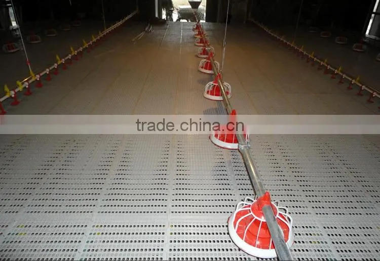 poultry automatic feeding system