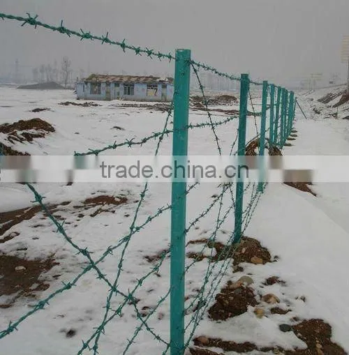 Safety Barbed Wire
