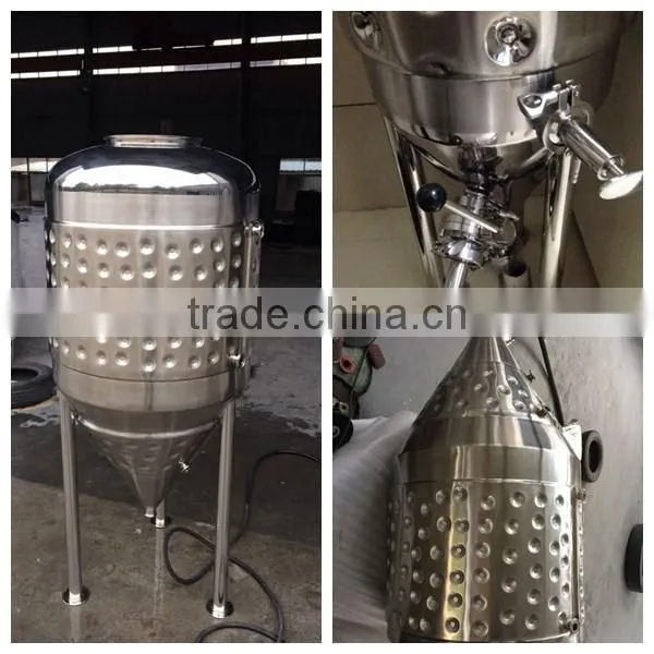 100l fermenter