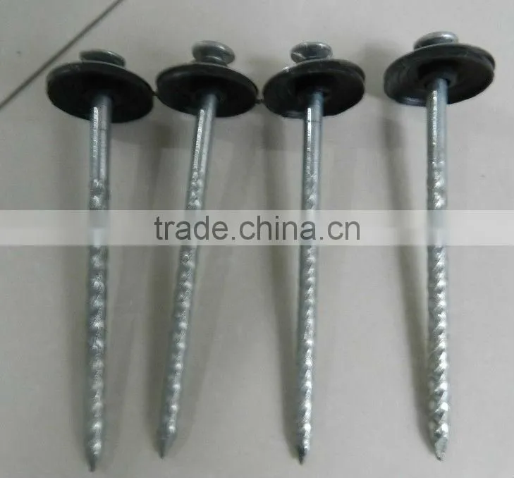 Cheap Raw Material Wire Nails for Construction for sale