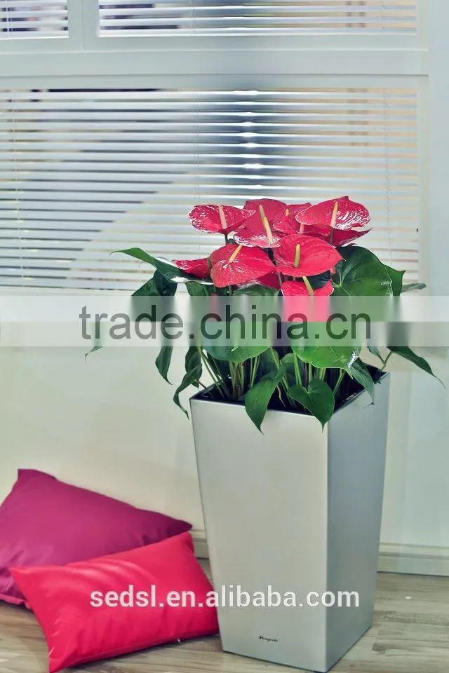 Square Plastic flowerpot hot sale garden planters flower pot