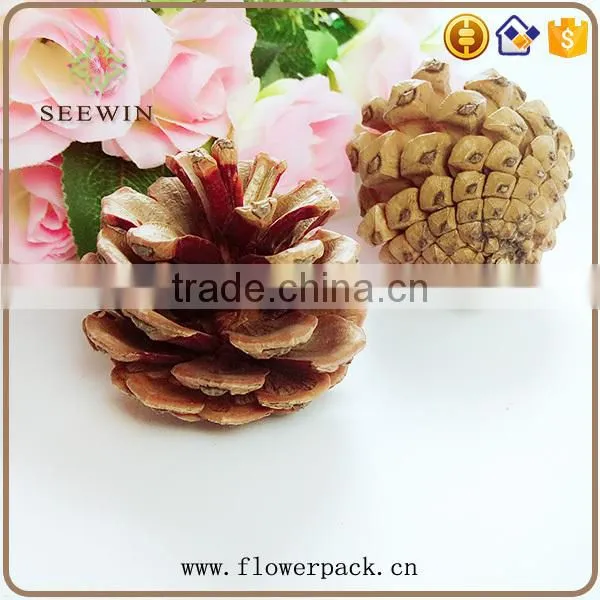 Pine nuts series of natural flowered bark engraving