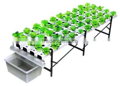 Horizontal Tube Hydroponics System EBB Planting Stand