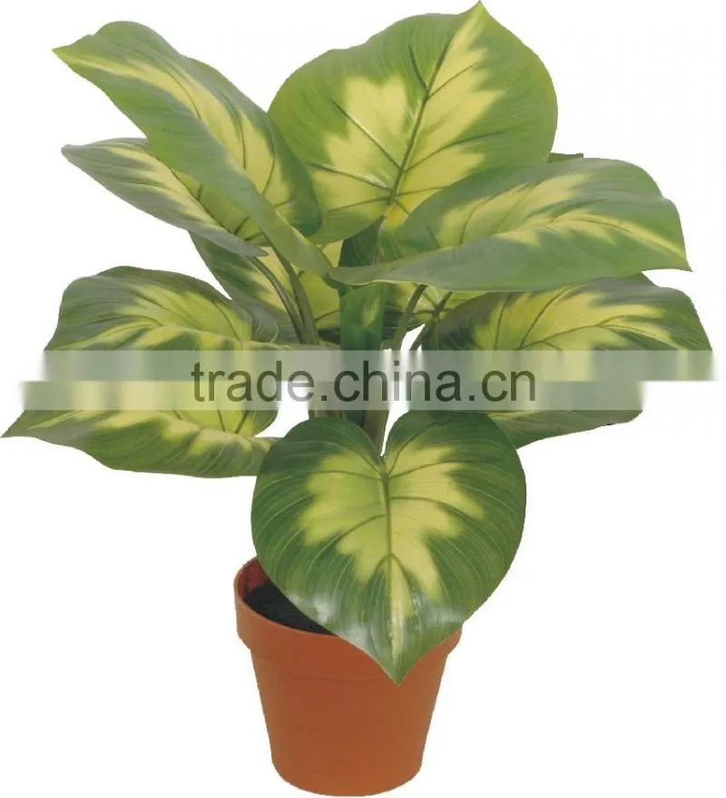 artificial green bonsai Heart fat yellow iron WB19-13J-YL2# ( plant bonsai flower tree of Este )