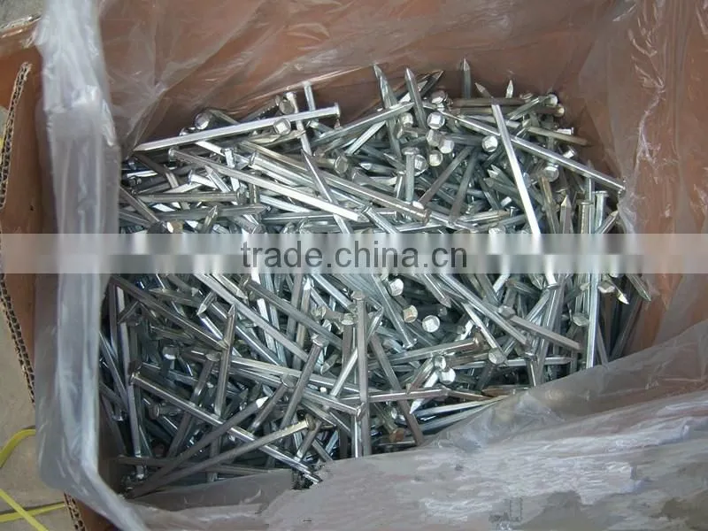 Cheap Price Hot Dipped Galvanized Boat Nails Square Shank Boat Nails