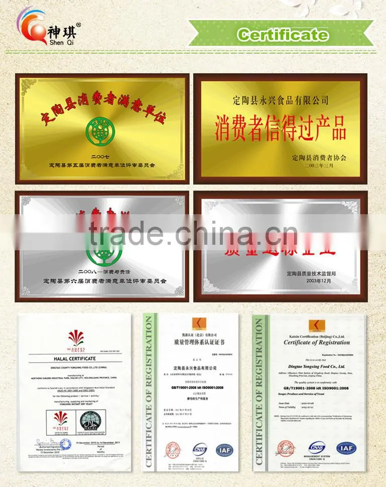 Technology professional supply of yeast powder, yeast extract raw materials