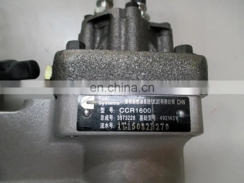 3973228-1.JPG