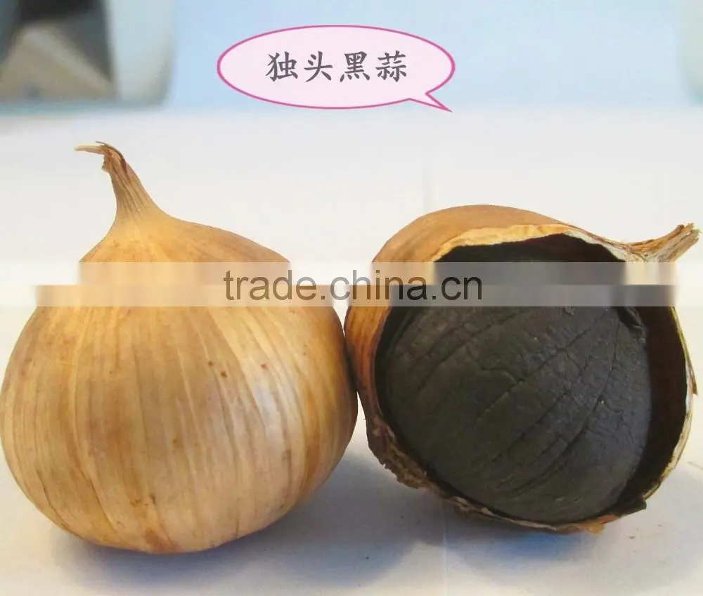 China black garlic for sale
