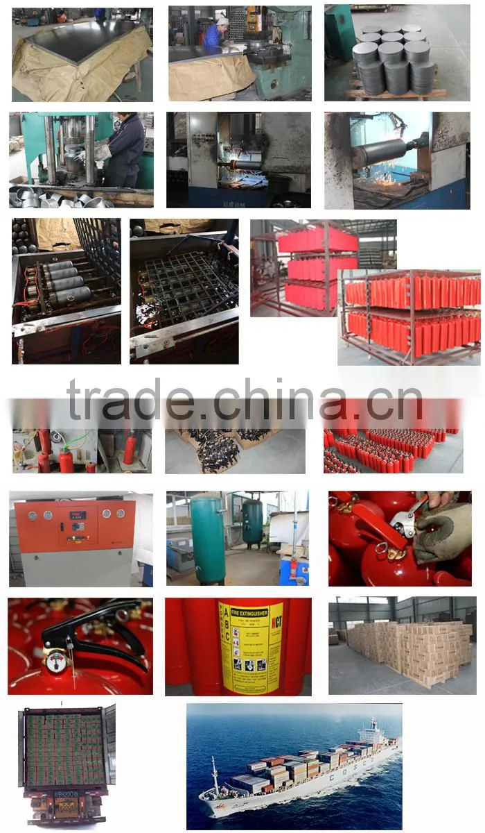 6KG ABC powder fire equipment with blue fire extinguisher valve