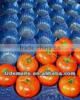 Fresh Fruit Packaging For apple, pear etc