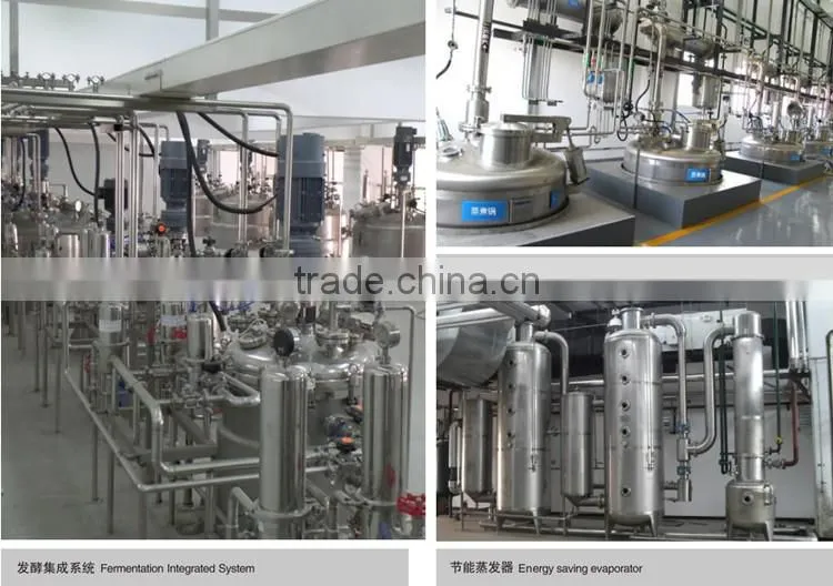 Medicine pill making machine with complete processing line