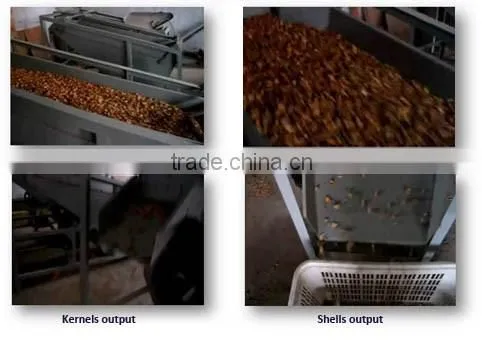 almond/apricot shell & kernel seperating machine