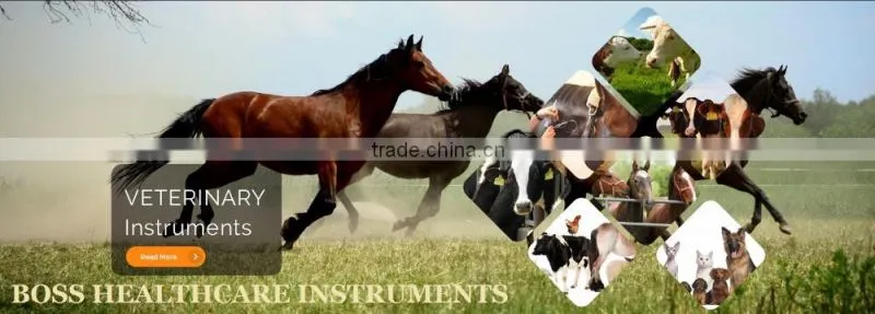 Hoof Tester Veterinary Farrier Horse BOSS healthcare instruments