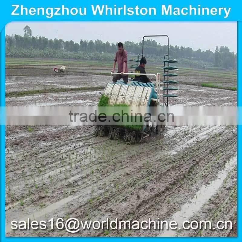High efficiency 8 rows riding type agriculture rice planter machine price