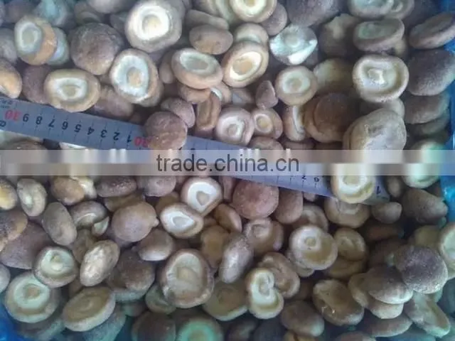 IQF frozen shiitake mushrooms