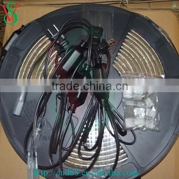 SMD 5050 flexible strip light for indoor decoration