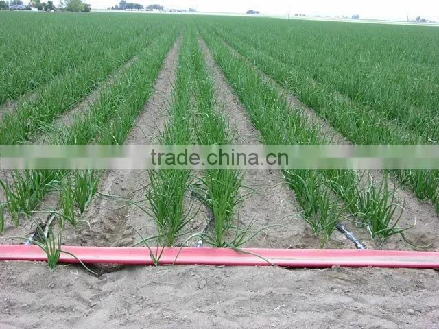 PVC HOSE