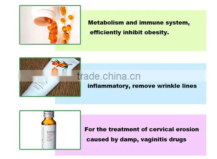 GMP manufacturers provide health food Seabuckthorn seed oil with good price,well quality