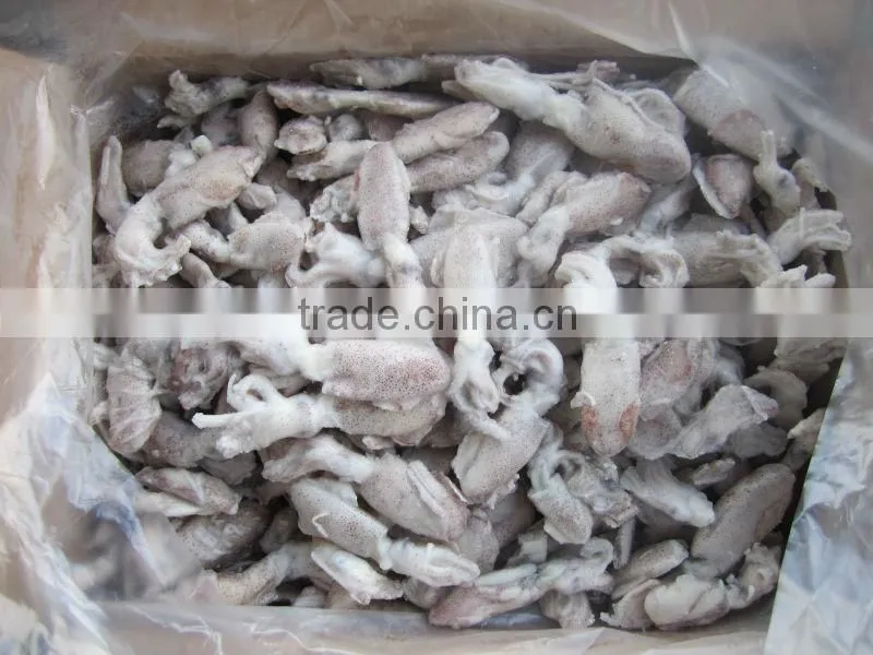 Frozen squid(Loligo Chinese) 3/6cm