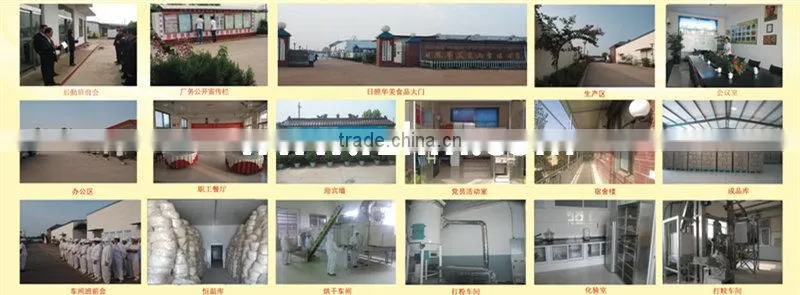 Sell Dehydrated Garlic Granules