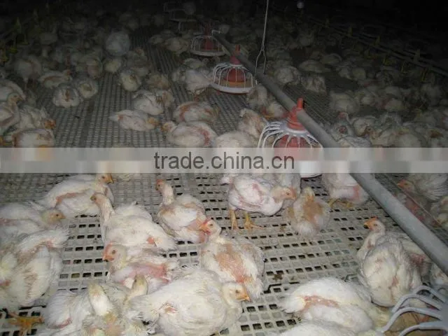 plastic poultry floor slats