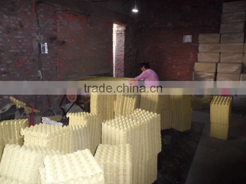 2015 hot sale economical pulp egg tray molding machine made in China Skype:ritaz060
