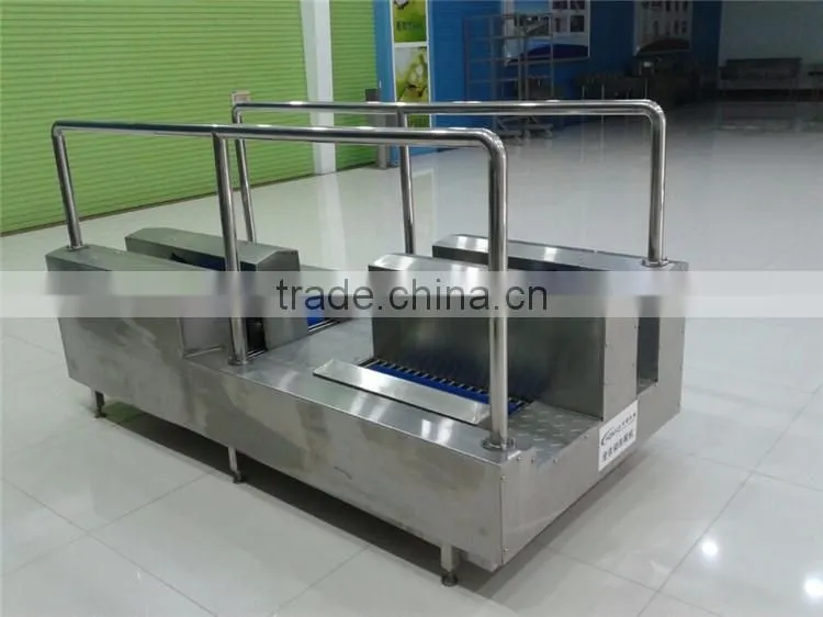 Automatic Stainless Steel Boot Washer