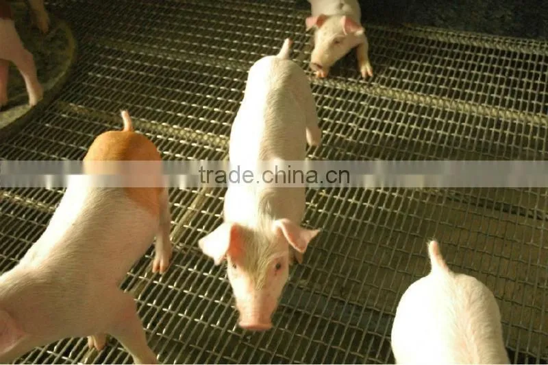 hog wire floor roll
