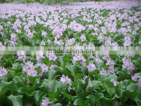 Decorative nursery planter garden natural rattan artificial flower pot