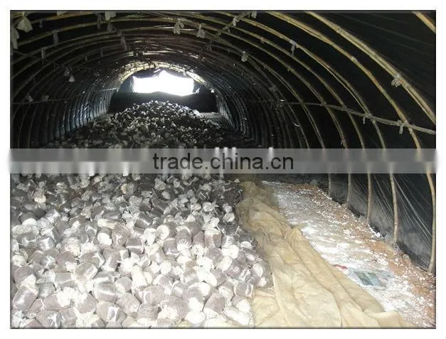 mushroom planting greenhouse film,black film for agaricus,Oyster Mushroom