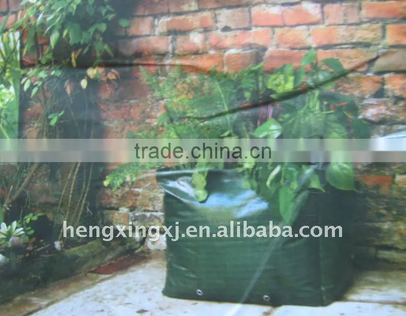 biodegradable plastic bag plant